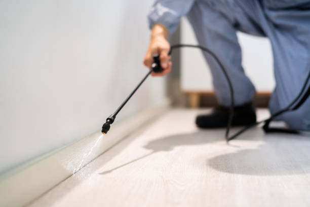 Professional exterminator conducting IPM assessment in Dallas