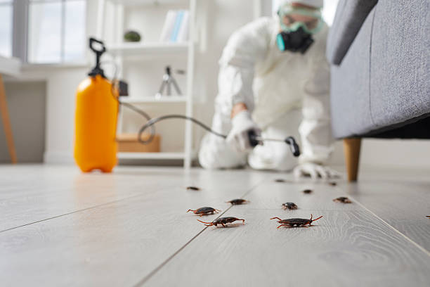 Commercial Rodent Management in Dallas